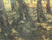 Vincent Van Gogh Tree Trunks with Ivy (nn04) china oil painting reproduction